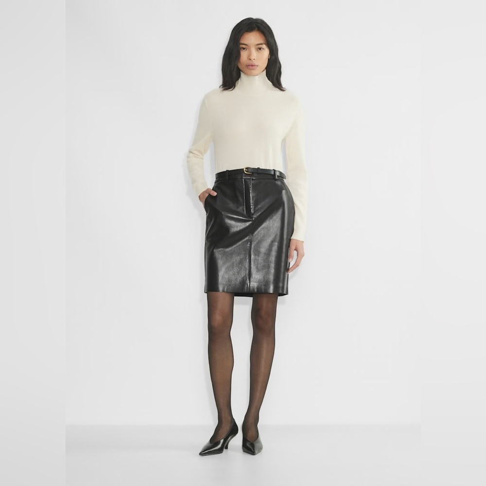 Aritzia Babaton Domi UnReal Leather Skirt